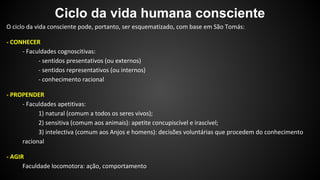 Ciclo da vida humana consciente 
 