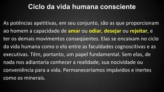 Ciclo da vida humana consciente 
 