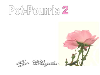 Pot-Pourris 2 Chiqita by 