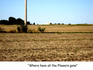 “ Where have all the Flowers gone” 