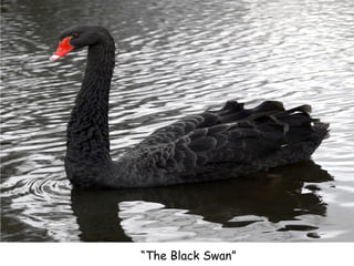 “ The Black Swan” 