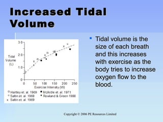 Copyright © 2006 PE Resources LimitedCopyright © 2006 PE Resources Limited
Increased TidalIncreased Tidal
VolumeVolume
 Tidal volume is theTidal volume is the
size of each breathsize of each breath
and this increasesand this increases
with exercise as thewith exercise as the
body tries to increasebody tries to increase
oxygen flow to theoxygen flow to the
blood.blood.
 