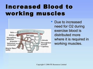 Copyright © 2006 PE Resources LimitedCopyright © 2006 PE Resources Limited
Increased Blood toIncreased Blood to
working musclesworking muscles
 Due to increasedDue to increased
need for O2 duringneed for O2 during
exercise blood isexercise blood is
distributed moredistributed more
where it is required inwhere it is required in
working muscles.working muscles.
 
