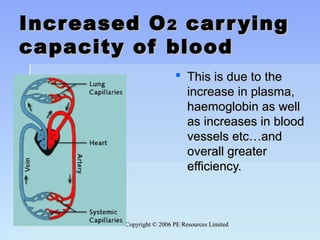 Copyright © 2006 PE Resources LimitedCopyright © 2006 PE Resources Limited
Increased OIncreased O22 carryingcarrying
capacity of bloodcapacity of blood
 This is due to theThis is due to the
increase in plasma,increase in plasma,
haemoglobin as wellhaemoglobin as well
as increases in bloodas increases in blood
vessels etc…andvessels etc…and
overall greateroverall greater
efficiency.efficiency.
 