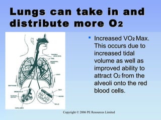 Copyright © 2006 PE Resources LimitedCopyright © 2006 PE Resources Limited
Lungs can take in andLungs can take in and
distribute more Odistribute more O22
 Increased VOIncreased VO22 Max.Max.
This occurs due toThis occurs due to
increased tidalincreased tidal
volume as well asvolume as well as
improved ability toimproved ability to
attract Oattract O22 from thefrom the
alveoli onto the redalveoli onto the red
blood cells.blood cells.
 