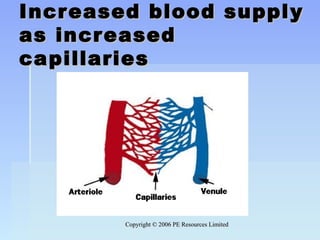 Copyright © 2006 PE Resources LimitedCopyright © 2006 PE Resources Limited
Increased blood supplyIncreased blood supply
as increasedas increased
capillariescapillaries
 