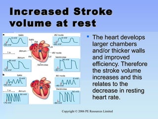 Copyright © 2006 PE Resources LimitedCopyright © 2006 PE Resources Limited
Increased StrokeIncreased Stroke
volume at restvolume at rest
 The heart developsThe heart develops
larger chamberslarger chambers
and/or thicker wallsand/or thicker walls
and improvedand improved
efficiency. Thereforeefficiency. Therefore
the stroke volumethe stroke volume
increases and thisincreases and this
relates to therelates to the
decrease in restingdecrease in resting
heart rate.heart rate.
 