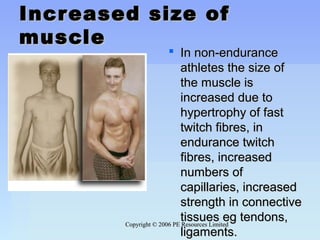 Copyright © 2006 PE Resources LimitedCopyright © 2006 PE Resources Limited
Increased size ofIncreased size of
musclemuscle
 In non-enduranceIn non-endurance
athletes the size ofathletes the size of
the muscle isthe muscle is
increased due toincreased due to
hypertrophy of fasthypertrophy of fast
twitch fibres, intwitch fibres, in
endurance twitchendurance twitch
fibres, increasedfibres, increased
numbers ofnumbers of
capillaries, increasedcapillaries, increased
strength in connectivestrength in connective
tissues eg tendons,tissues eg tendons,
ligaments.ligaments.
 