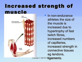 Copyright © 2006 PE Resources LimitedCopyright © 2006 PE Resources Limited
Increased strength ofIncreased strength of
musclemuscle
 In non-enduranceIn non-endurance
athletes the size ofathletes the size of
the muscle isthe muscle is
increased due toincreased due to
hypertrophy of fasthypertrophy of fast
twitch fibres,twitch fibres,
increased numbersincreased numbers
of capillaries,of capillaries,
increased strength inincreased strength in
connective tissuesconnective tissues
eg tendons,eg tendons,
ligaments.ligaments.
 