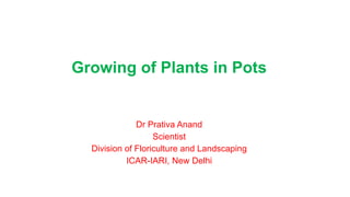 Growing of Plants in Pots
Dr Prativa Anand
Scientist
Division of Floriculture and Landscaping
ICAR-IARI, New Delhi
 