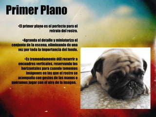 Primer Plano
•El primer plano es el perfecto para el
retrato del rostro.
•Agranda el detalle y miniaturiza el
conjunto de la escena, eliminando de una
vez por toda la importancia del fondo.
•Es tremendamente útil recurrir a
encuadres verticales, reservando los
horizontales para cuando tomemos
imágenes en las que el rostro se
acompaña con gestos de las manos o
queramos jugar con el aire de la imagen. 
 