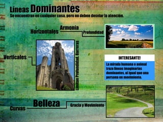 Líneas DominantesDominantesSe encuentran en cualquier cosa, pero no deben desviar la atención.
Horizontales
Verticales
Curvas
Armonía
Belleza Gracia y Movimiento
Profundidad
LimitanProfundidad.Barreras
La mirada humana o animal
traza líneas imaginarias
dominantes, al igual que una
persona en movimiento.
INTERESANTE!
 