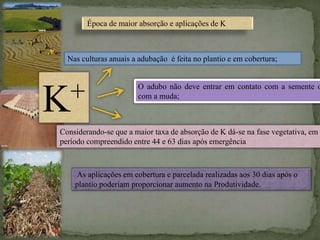 Época de maior absorção e aplicações de K
K+
Nas culturas anuais a adubação é feita no plantio e em cobertura;
O adubo não deve entrar em contato com a semente o
com a muda;
As aplicações em cobertura e parcelada realizadas aos 30 dias após o
plantio poderiam proporcionar aumento na Produtividade.
Considerando-se que a maior taxa de absorção de K dá-se na fase vegetativa, em
período compreendido entre 44 e 63 dias após emergência
 