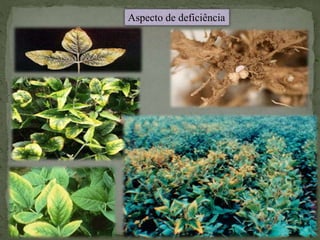 Aspecto de deficiência
 
