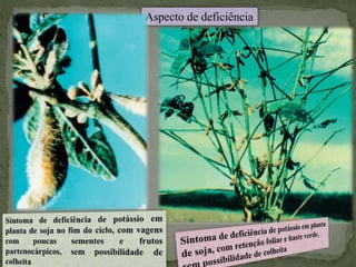 Aspecto de deficiência
 