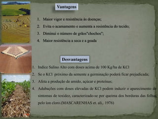 1. Maior vigor e resistência às doenças;
2. Evita o acamamento e aumenta a resistência do tecido;
3. Diminui o número de grãos"chochos";
4. Maior resistência a seca e a geada
Vantagens
1. Indíce Salino Alto com doses acima de 100 Kg/ha de KCl
2. Se o KCl próximo da semente a germinação poderá ficar prejudicada;
3. Afeta a produção de amido, açúcar e proteínas;
4. Adubações com doses elevadas de KCl podem induzir o aparecimento de
sintomas de toxidez, caracterizado-se por queima dos borduras das folhas
pelo íon cloro.(MASCARENHAS et. ali,. 1976)
Desvantagens
 