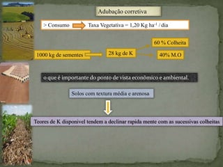 Adubação corretiva
> Consumo Taxa Vegetativa = 1,20 Kg ha-1 / dia
1000 kg de sementes 28 kg de K
60 % Colheita
40% M.O
o que é importante do ponto de vista econômico e ambiental.
Solos com textura média e arenosa
Teores de K disponivel tendem a declinar rapida mente com as sucessivas colheitas
 
