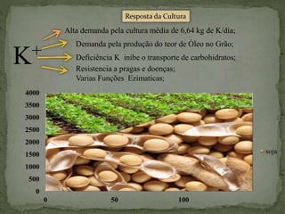 Resposta da Cultura
Alta demanda pela cultura média de 6,64 kg de K/dia;
Demanda pela produção do teor de Óleo no Grão;
Deficiência K inibe o transporte de carbohidratos;
K+
0
500
1000
1500
2000
2500
3000
3500
4000
0 50 100
soja
Resistencia a pragas e doenças;
Varias Funções Ezimaticas;
 