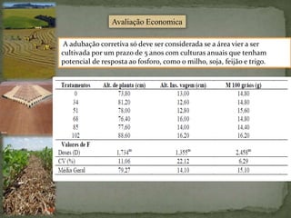 Avaliação Economica
A adubação corretiva só deve ser considerada se a área vier a ser
cultivada por um prazo de 5 anos com culturas anuais que tenham
potencial de resposta ao fosforo, como o milho, soja, feijão e trigo.
 