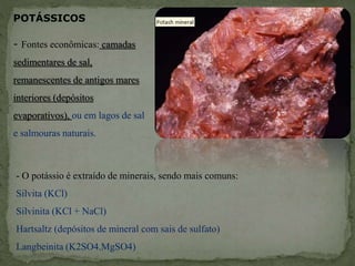 POTÁSSICOS
- Fontes econômicas: camadas
sedimentares de sal,
remanescentes de antigos mares
interiores (depósitos
evaporativos), ou em lagos de sal
e salmouras naturais.
- O potássio é extraído de minerais, sendo mais comuns:
Silvita (KCl)
Silvinita (KCl + NaCl)
Hartsaltz (depósitos de mineral com sais de sulfato)
Langbeinita (K2SO4.MgSO4)
 