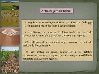 A seguinte recomendação é feita por Small e Ohlrogge
(1973) quanto à época e a folha a ser amostrada:
(1). cultivares de crescimento determinado: no início do
florescimento, antes do aparecimento visível das vagens;
(2). cultivares de crescimento indeterminado: no meio do
período de florescimento;
(3). em ambos os casos, coletar 30 a 50 trifólios
recentemente maduros, em geral o terceiro ou quarto trifólio de
cima para baixo, sem o pecíolo.
Amostragem de folhas
 