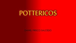 POTTERICOS
DANIEL PRISCO SALCEDO
 