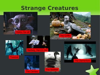 Harry Potter The hero, the main character. He is the best wizard. He likes Quidditch. He is confident and brave but He is also a bit shy.