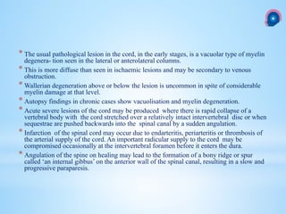 * The usual pathological lesion in the cord, in the early stages, is a vacuolar type of myelin
degenera- tion seen in the lateral or anterolateral columns.
* This is more diffuse than seen in ischaemic lesions and may be secondary to venous
obstruction.
* Wallerian degeneration above or below the lesion is uncommon in spite of considerable
myelin damage at that level.
* Autopsy findings in chronic cases show vacuolisation and myelin degeneration.
* Acute severe lesions of the cord may be produced where there is rapid collapse of a
vertebral body with the cord stretched over a relatively intact intervertebral disc or when
sequestrae are pushed backwards into the spinal canal by a sudden angulation.
* Infarction of the spinal cord may occur due to endarteritis, periarteritis or thrombosis of
the arterial supply of the cord. An important radicular supply to the cord may be
compromised occasionally at the intervertebral foramen before it enters the dura.
* Angulation of the spine on healing may lead to the formation of a bony ridge or spur
called ‘an internal gibbus’ on the anterior wall of the spinal canal, resulting in a slow and
progressive paraparesis.
 