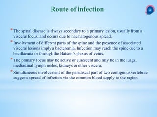 *The spinal disease is always secondary to a primary lesion, usually from a
visceral focus, and occurs due to haematogenous spread.
*Involvement of different parts of the spine and the presence of associated
visceral lesions imply a bacteremia. Infection may reach the spine due to a
bacillaemia or through the Batson’s plexus of veins.
*The primary focus may be active or quiescent and may be in the lungs,
mediastinal lymph nodes, kidneys or other viscera.
*Simultaneous involvement of the paradiscal part of two contiguous vertebrae
suggests spread of infection via the common blood supply to the region
Route of infection
 