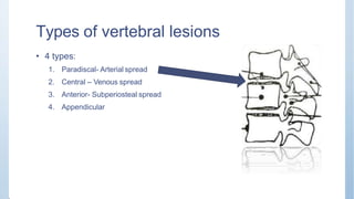 Types of vertebral lesions
• 4 types:
1. Paradiscal- Arterial spread
2. Central – Venous spread
3. Anterior- Subperiosteal spread
4. Appendicular
 