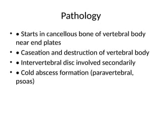 Pathology
• • Starts in cancellous bone of vertebral body
near end plates
• • Caseation and destruction of vertebral body
• • Intervertebral disc involved secondarily
• • Cold abscess formation (paravertebral,
psoas)
 