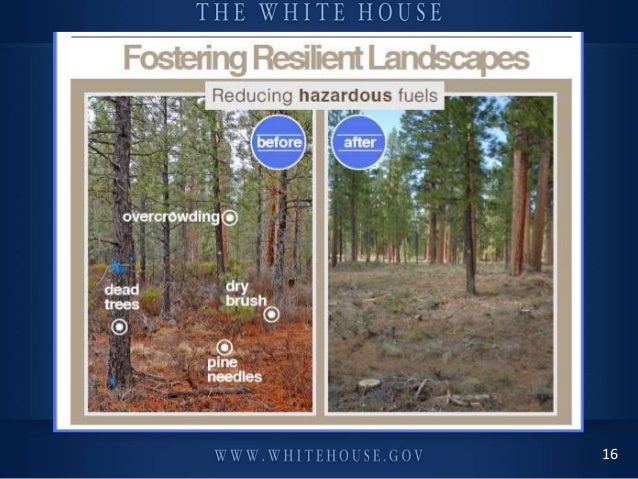 Champions of Change:
Veterans Advancing Clean Energy
and Climate Security
September 24th, 2013
#WHChamps
NOAA
16
 