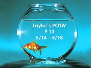 Taylor’s POTW
     # 13
 5/14 – 5/18
 
