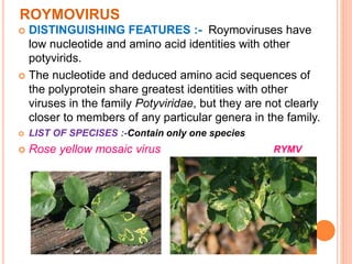ROYMOVIRUS
 DISTINGUISHING FEATURES :- Roymoviruses have
low nucleotide and amino acid identities with other
potyvirids.
 The nucleotide and deduced amino acid sequences of
the polyprotein share greatest identities with other
viruses in the family Potyviridae, but they are not clearly
closer to members of any particular genera in the family.
 LIST OF SPECISES :-Contain only one species
 Rose yellow mosaic virus RYMV
 