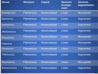 Genus Structure Capsid Genomic
arrange-
ment
Genomic
segmentation
Brambyvirus Filamentous Nonenveloped Linear Monopartite
Bymovirus Filamentous Nonenveloped Linear Segmented
Ipomovirus Filamentous Nonenveloped Linear Segmented
Macluravirus Filamentous Nonenveloped Linear Segmented
Poacevirus Filamentous Nonenveloped Linear Monopartite
Potyvirus Filamentous Nonenveloped Linear Monopartite
Rymovirus Filamentous Nonenveloped Linear Segmented
Tritimovirus Filamentous Nonenveloped Linear Segmented
Roymovirus Filamentous Nonenveloped Linear Monopartite
Brevemovirus Filamentous Nonenveloped Linear Segmented
 