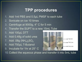 TPP procedures
1. Add 1ml PBS and 0.5µL PMSF to each tube
2. Sonicate on ice 10 times
3. Centrifuge at 9000g, 4° C for 5 min
4. Transfer the SUPT to a new 15mL Tube
5. Add 100µL DTT
6. Add 0.48g of solid urea
7. Add .08g (NH4)2SO4
8. Add 750µL T-Butanol
9. Incubate for 1hr at 25° C
10. Collect the aqueous phase and transfer it into 5mL tube
 