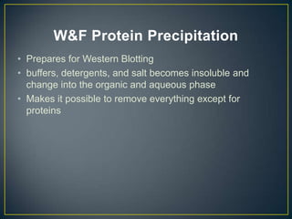 W&F Protein Precipitation
• Prepares for Western Blotting
• buffers, detergents, and salt becomes insoluble and
  change into the organic and aqueous phase
• Makes it possible to remove everything except for
  proteins
 