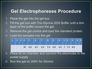 Gel Electrophoreses Procedure
1. Place the gel into the gel box
2. Fill the gel box with Tris Glycine SDS Buffer until a thin
   layer of the buffer covers the gel
3. Remove the gel combs and load the standard protein
4. Load the samples into the gel




5. Place lid on chamber and connect the electrodes to the
   power supply
6. Run the gel on 200V for 30mins
 