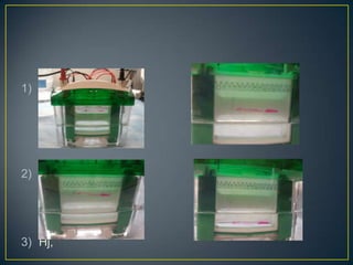 1) Gh




2) ,gj




3) Hj,
 