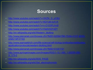 Sources
• http://www.youtube.com/watch?v=IWZN_G_pC8U
• http://www.youtube.com/watch?v=6QYgN-toA1A
• http://www.youtube.com/watch?v=v-O103PLhm8
• http://www.youtube.com/watch?v=HddVrI2YdZY
• http://en.wikipedia.org/wiki/Western_blotting
• http://www.piercenet.com/browse.cfm?fldID=8259A7B6-7DA6-41CF-9D55-
  AA6C14F31193
• http://www.sigmaaldrich.com/life-science/cell-biology/antibodies/antibodies-
  application/protocols/western-blotting.html
• http://www.piercenet.com/browse.cfm?fldID=01041101
• http://www.springerimages.com/Images/RSS/1-10.1385_1-59259-056-
  X_173-2
• http://en.wikipedia.org/wiki/SDS_PAGE
• http://en.wikipedia.org/wiki/Gel_electrophoresis
 