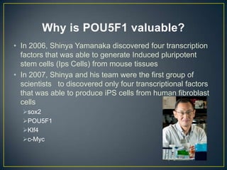 Why is POU5F1 valuable?
• In 2006, Shinya Yamanaka discovered four transcription
  factors that was able to generate Induced pluripotent
  stem cells (Ips Cells) from mouse tissues
• In 2007, Shinya and his team were the first group of
  scientists to discovered only four transcriptional factors
  that was able to produce iPS cells from human fibroblast
  cells
  sox2
  POU5F1
  Klf4
  c-Myc
 