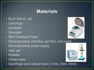 Materials
•   BL21 Star E. coli
•   Centrifuge
•   Incubator
•   Sonicator
•   Nitro Cellulose Paper
•   Electrophoresis chamber, gel form, and comb
•   Electrophoresis power supply
•   Agar gel
•   Pipettes
•   Vortex mixer
•   Centrifuge and cultural tubes (1.5ml, 15ml, 45ml)
 
