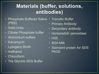 Materials (buffer, solutions,
               antibodies)
• Phosphate Buffered Saline   •   Transfer Buffer
  (PBS)                       •   Primary Antibody
• Solid Urea                  •   Secondary antibody
• Citrate Phosphate buffer    •   Horseradish peroxidase
• Ammonium sulfate            •   H20
• Kanamycin                   •   BSA Milk
• Lysogeny Broth              •   Standard protein for SDS
• methanol                        PAGE
• Chloroform
• Tris Glycine SDS Buffer
 