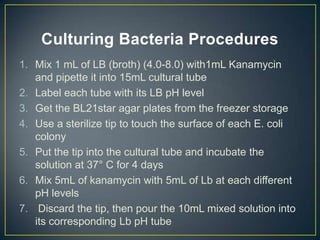 Culturing Bacteria Procedures
1. Mix 1 mL of LB (broth) (4.0-8.0) with1mL Kanamycin
   and pipette it into 15mL cultural tube
2. Label each tube with its LB pH level
3. Get the BL21star agar plates from the freezer storage
4. Use a sterilize tip to touch the surface of each E. coli
   colony
5. Put the tip into the cultural tube and incubate the
   solution at 37° C for 4 days
6. Mix 5mL of kanamycin with 5mL of Lb at each different
   pH levels
7. Discard the tip, then pour the 10mL mixed solution into
   its corresponding Lb pH tube
 