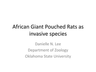 African Giant Pouched Rats as
       invasive species
          Danielle N. Lee
      Department of Zoology
     Oklahoma State University
 