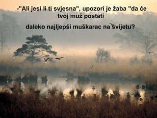 -"Ali jesi li ti svjesna", upozori je žaba "da će tvoj muž postati  daleko najljepši muškarac na svijetu?   