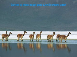 Čovjek je imao deset puta LAKŠI srčani udar! 