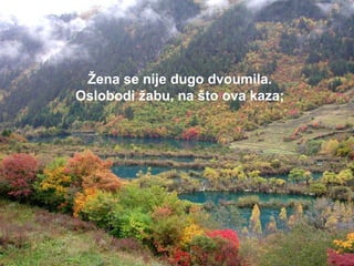 Žena se nije dugo dvoumila. Oslobodi žabu, na što ova kaza; 