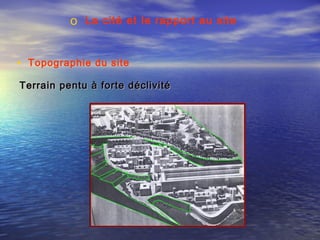 o La cité et le rapport au site
• Topographie du site
Terrain pentu à forte déclivitéTerrain pentu à forte déclivité
 