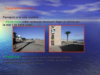 • Topographie du terrain:
Parraport a la voie routièreParraport a la voie routière
 Partie nord: crête rocheuse dominant Alger et donne sur: crête rocheuse dominant Alger et donne sur
la mer ( de belle vues)la mer ( de belle vues)
 Partie sud: emplacement moins favorisant, moins: emplacement moins favorisant, moins
avantageux par le micro climat. Terrain en forme deavantageux par le micro climat. Terrain en forme de
bassin(une typologie en creux).bassin(une typologie en creux).
 
